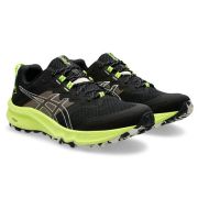 Кроссовки для бега Asics Trabuco Terra 2 Light green/Black Male